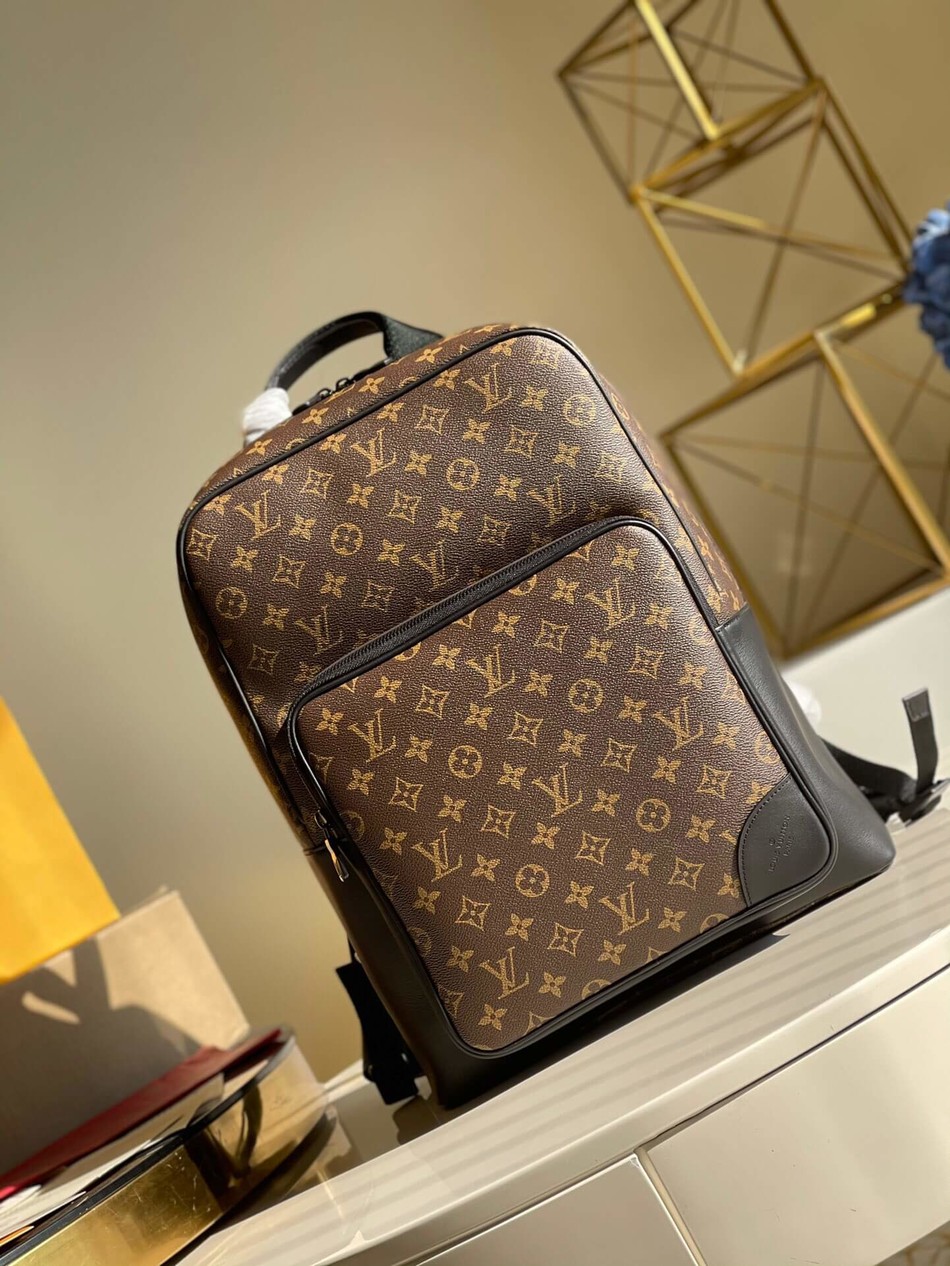 Louis Vuitton Dean backpack M45335