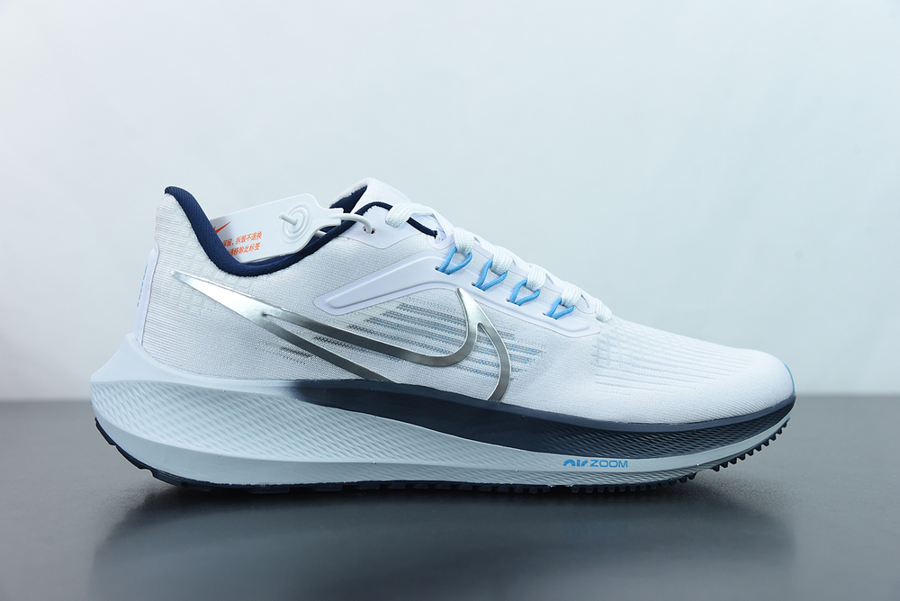 Nike Air Zoom Pegasus 39 White Silver Blue