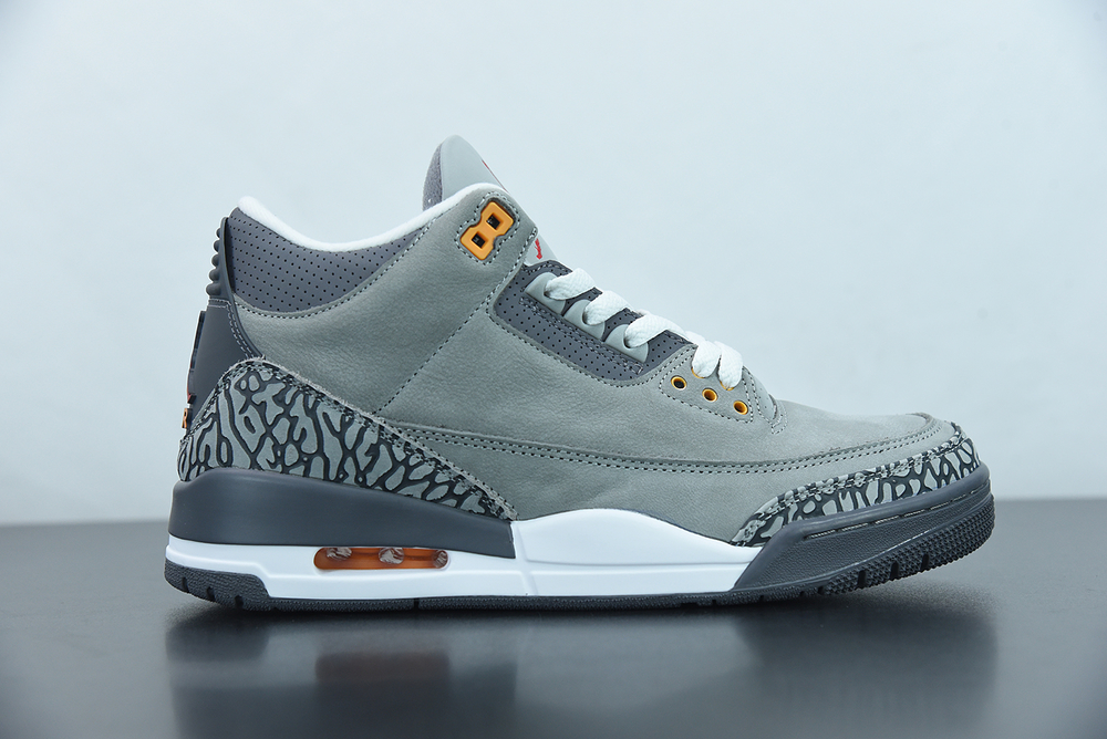 Jordan 3 Retro Cool Grey (2021)