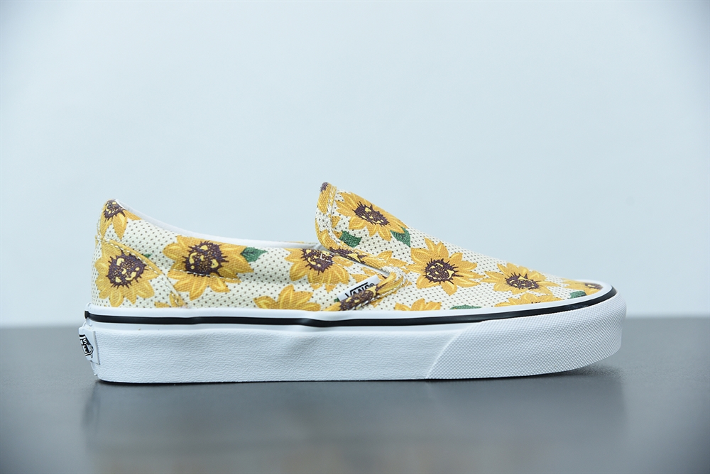 Vans Slip on